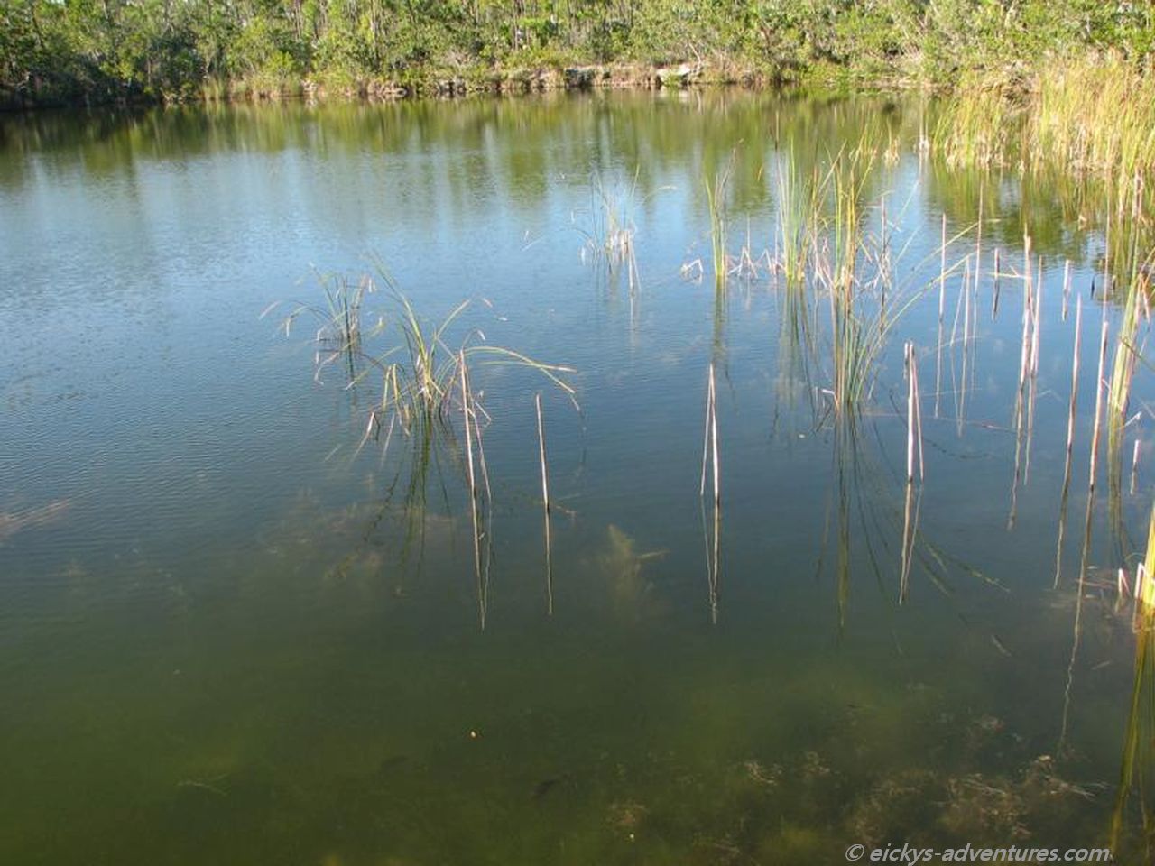 Blue Hole Blue Hole