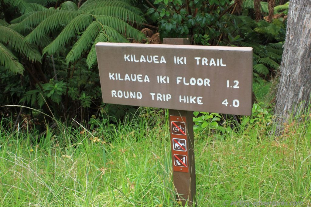 Kilauea Iki Trail