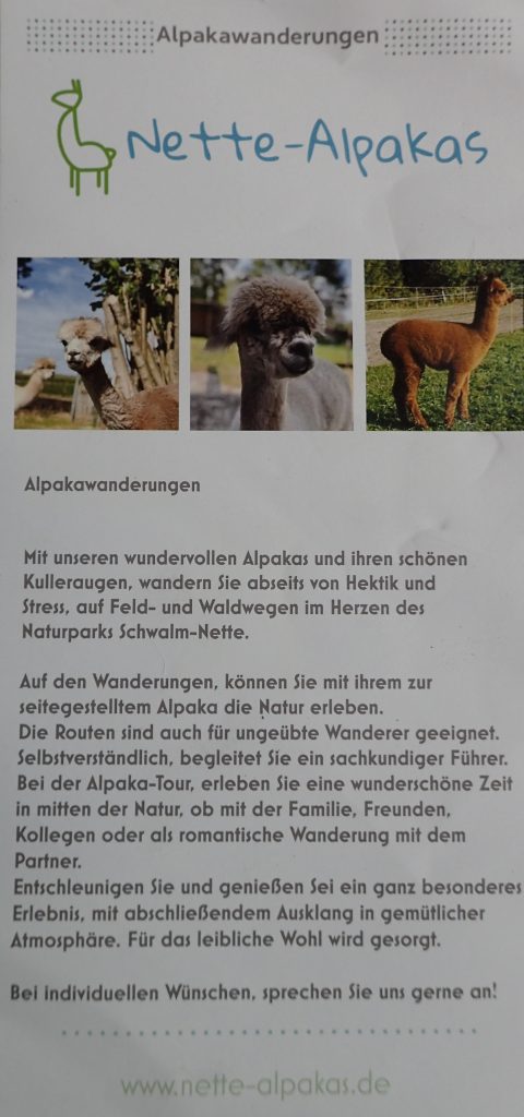 Nette-Alpakas