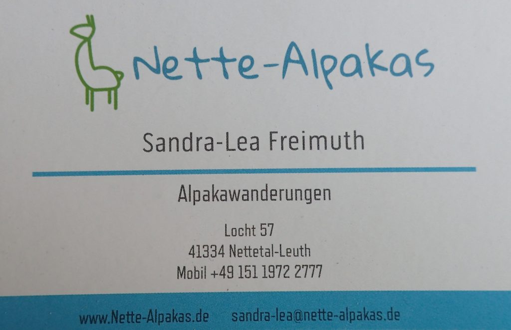 Nette-Alpakas